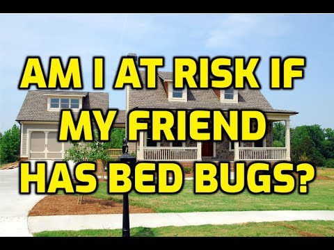Am I At Risk If My Friend Has Bed Bugs?