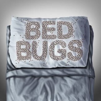 bed bugs plastic bags suffocate