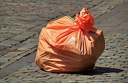 How Long Can Bed Bugs Live in a Sealed Plastic Bag?