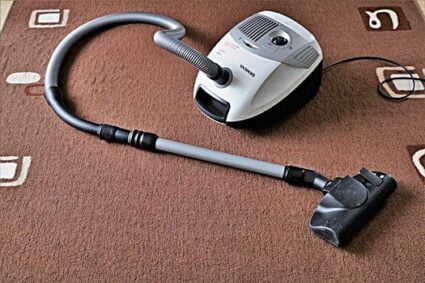 can bed bugs live in a vacuum cleaner