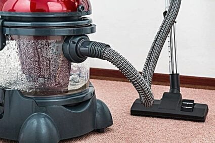 can bed bugs survive in vacuum sealed bags?