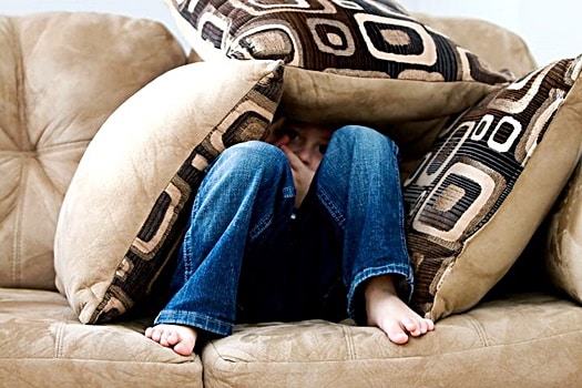 If You Find One Bed Bug Are There More Bed Bugs Insider