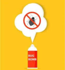 bed bug bombs effective