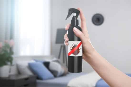 best bed bug spray for mattresses