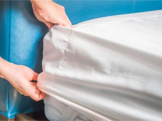 how to check for bed bugs in a mattress