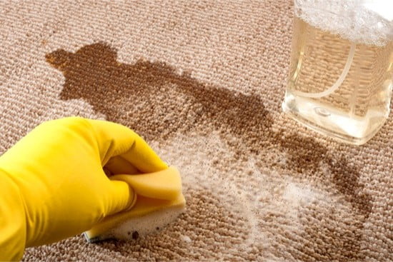 how to use alcohol to kill bed bugs