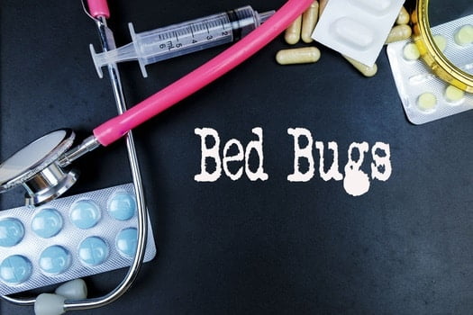 how to use boric acid to get rid of bed bugs