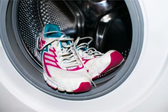 How Do I Get Bugs Out of Shoes? — Bed Bugs Insider