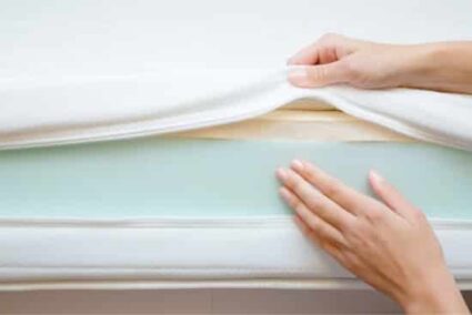 Do Bed Bug Mattress Covers Work, Does Bed Bug Protector Work