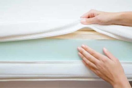 bed bug mattress encasements