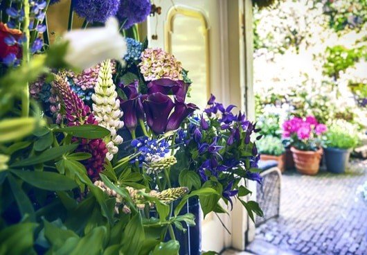 patio plants that repel bugs