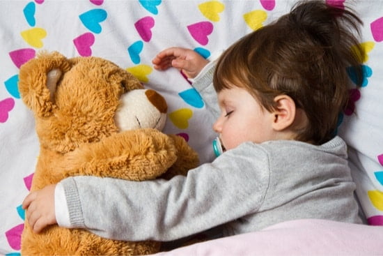 Can Bed Bugs Live in Stuffed Animals and Plastic Toys?