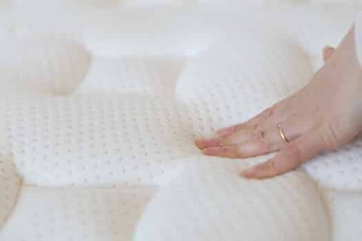 bed bugs on foam mattress
