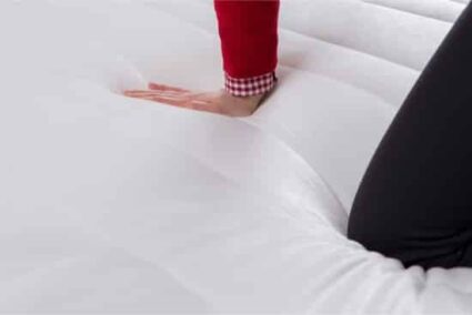 how to get bed bugs out of memory foam