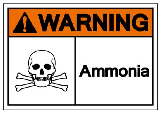 precautions when using ammonia to kill bed bugs