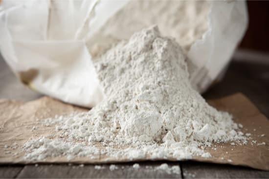 How Effective is Diatomaceous Earth for Bed Bugs? — Bed ...