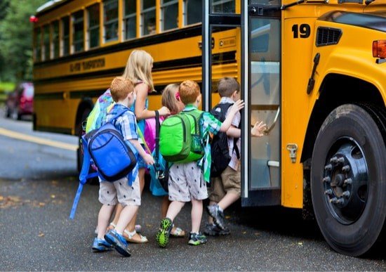 bed bugs on school buses