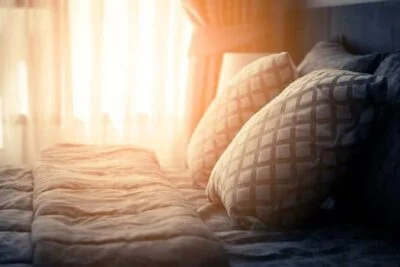 using sunlight to kill bed bugs