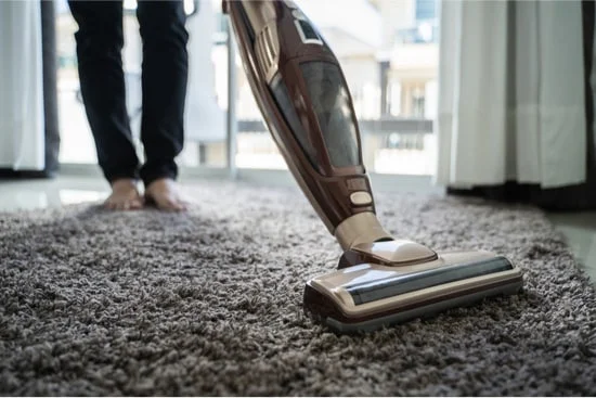 Can Bed Bugs Live in a Vacuum Cleaner?