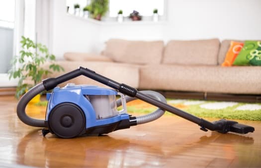 can bed bugs crawl out of vacuum cleaners?