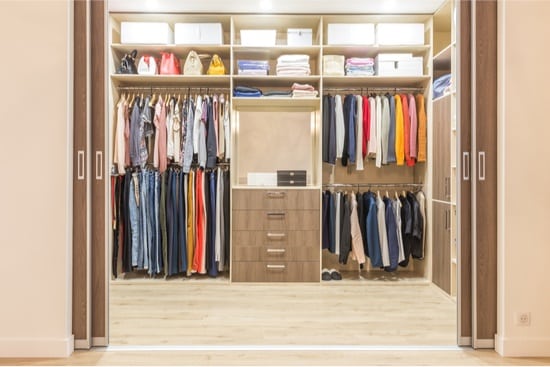 How To Check Your Closet For Bed Bugs Bed Bugs Insider