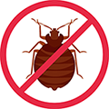 No bed bugs